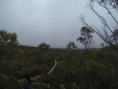 /album/galerie-photos/gopr0011-jpg/
